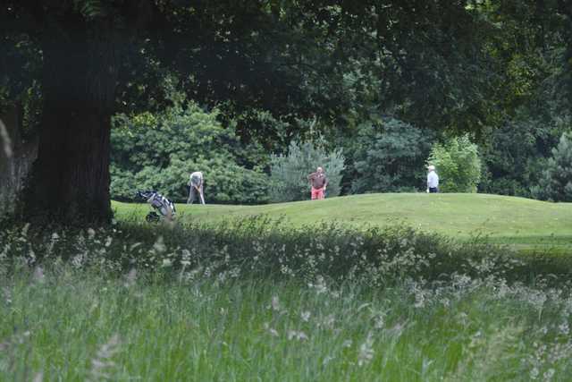 Weston Park - photo 3