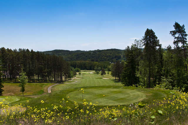 Punxsutawney Country Club - photo 2