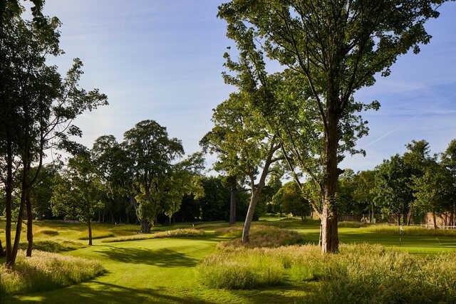 Golf at Goodwood - The Copse Course - photo 3