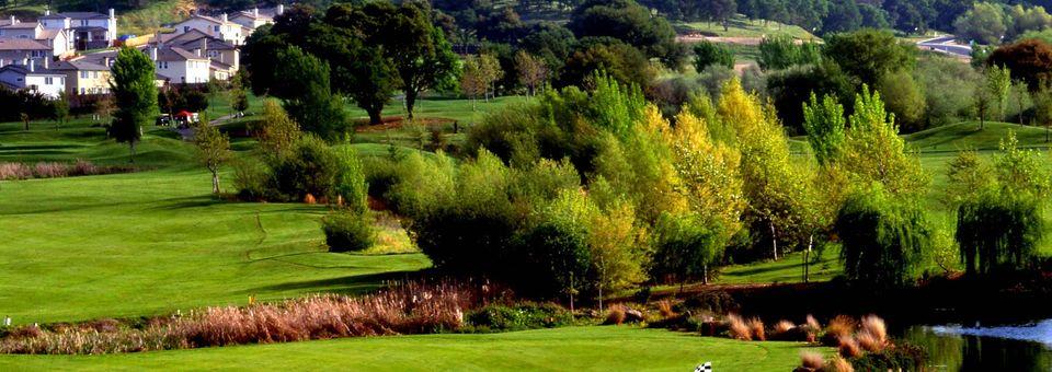 Whitney Oaks Golf Club - photo 8