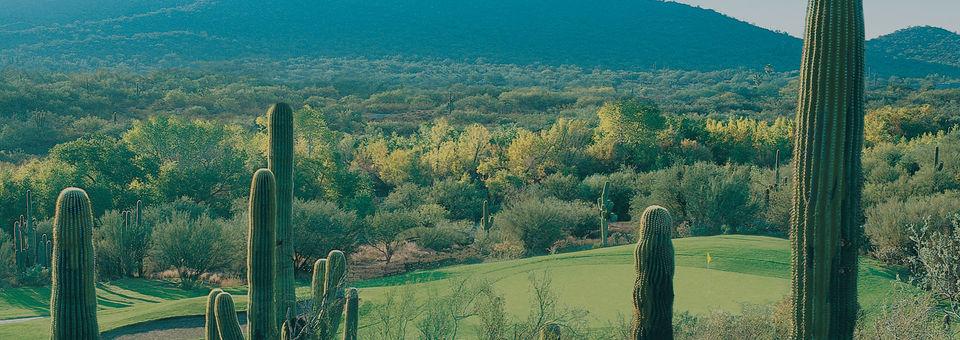 Rancho Manana Golf Club - photo 5