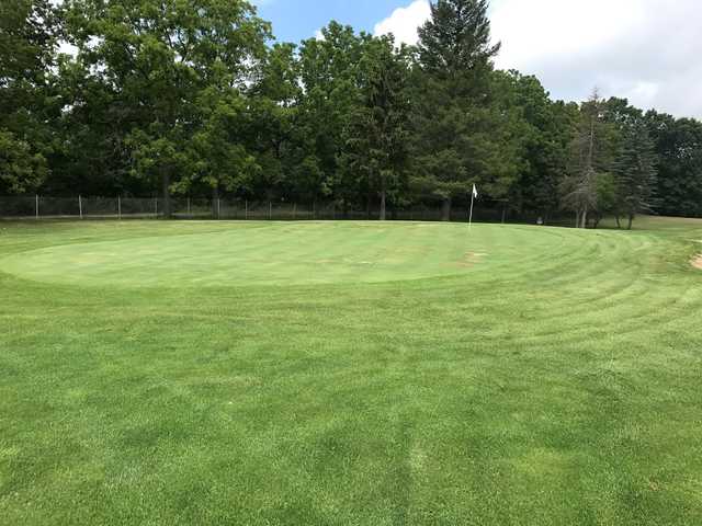Custer Greens
