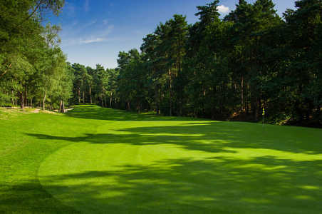Pine Ridge Golf Club - photo 6