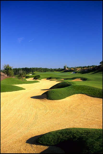 Hammock Beach - Conservatory Course - photo 4