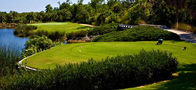 Grey Oaks Country Club - photo 2