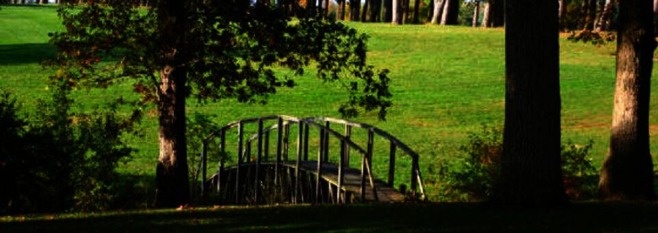 Pine View Golf Course - photo 4