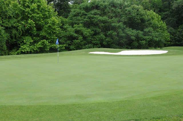 Lee's Hill Golf Club - photo 6