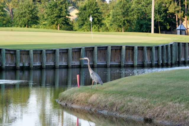 Gulf Shores Golf Club - photo 3
