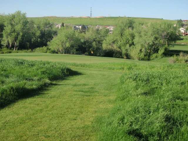 South Suburban Golf Course - photo 6