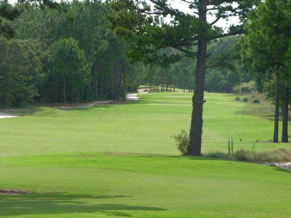 Pine Dunes Resort - photo 4