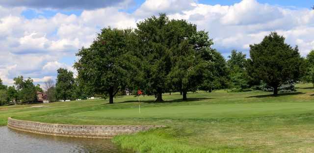 Lone Oak - photo 3
