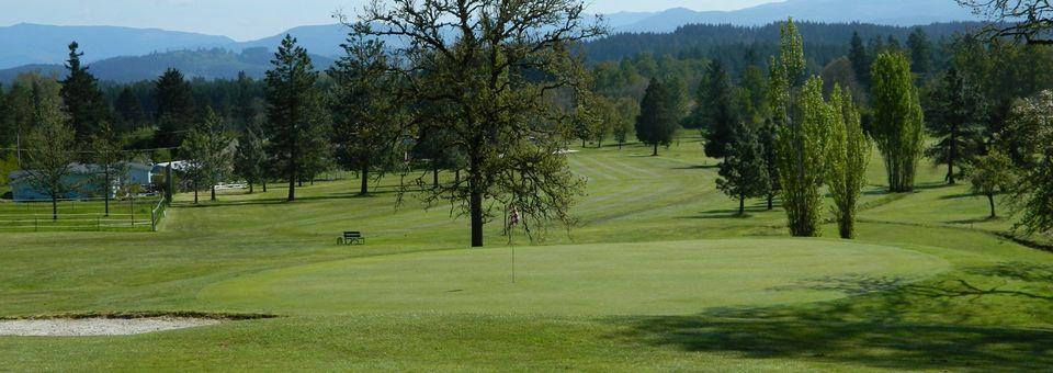 Pineway Golf Course - photo 4