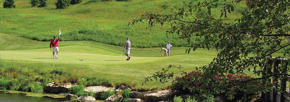 Palmer Golf Course – Speidel (at Oglebay Resort) - photo 5