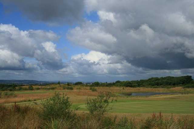 Torrance Park Golf Course - photo 5