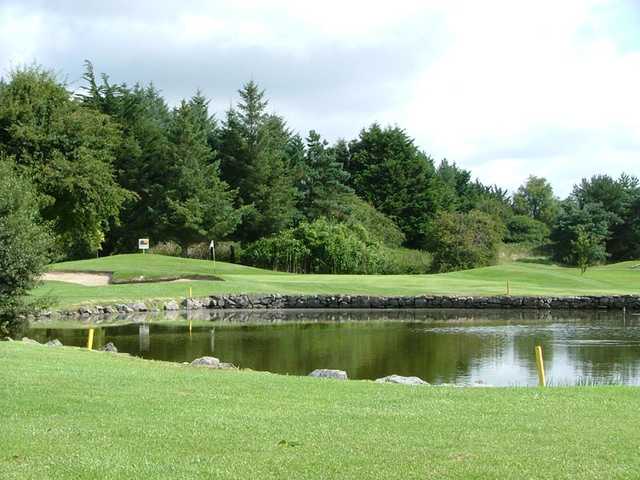 Shannon Golf Club - photo 4