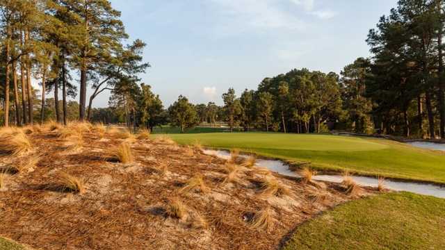 Pinehurst Resort & Country Club - #3 Course - photo 5