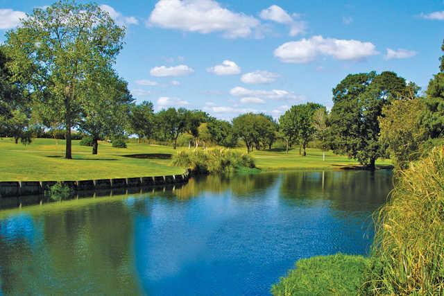 Pine Forest Country Club - photo 3