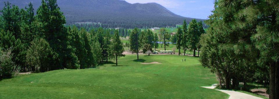 Elephant Rocks Golf Course at Williams - photo 4