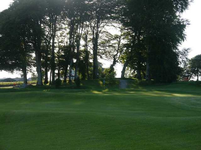 Dunmore Demesne - photo 3
