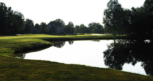 Coal Creek - photo 5