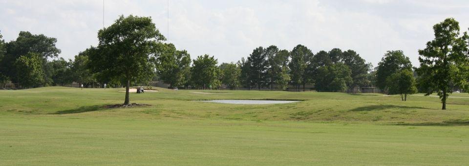Louisiana State University Golf Course - photo 6