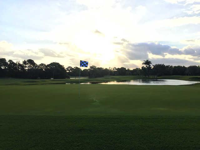 Martin County Golf & Country Club - photo 5