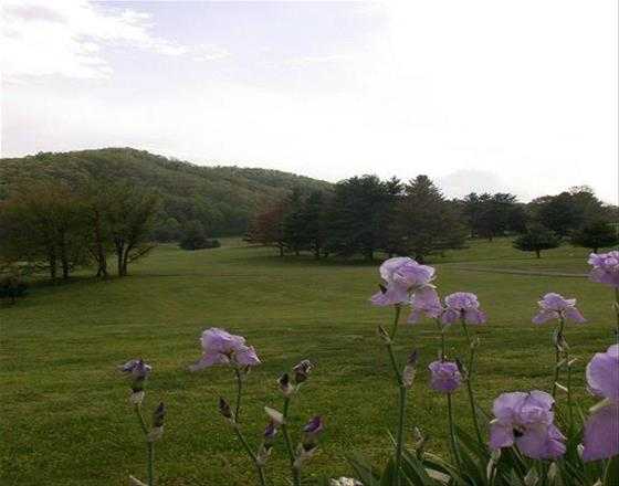 Steele Creek Golf Course
