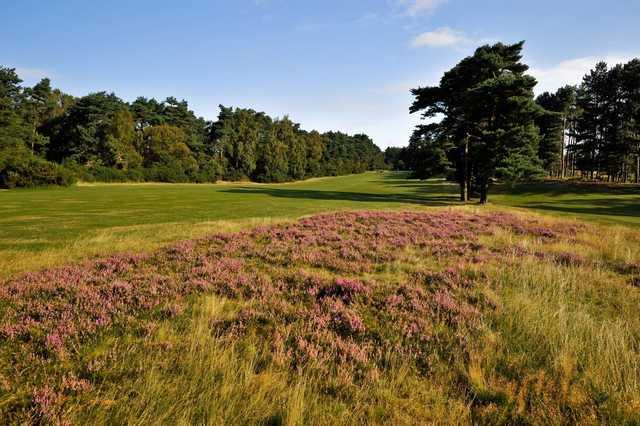 Ipswich Golf Club The Bixley Course - photo 6