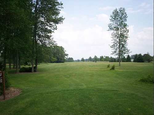 Ricci Meadows Golf Course
