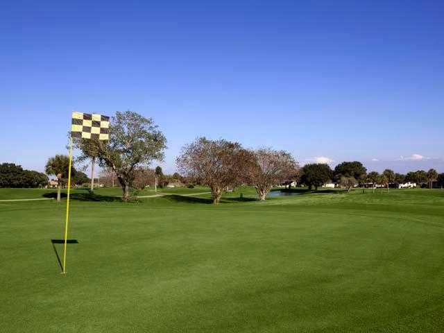 Falcon Watch Golf Club - photo 2