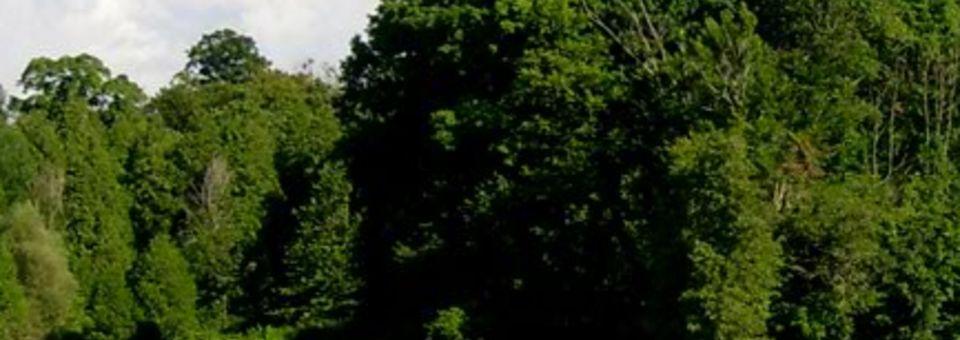 Winchester Golf Club - photo 2