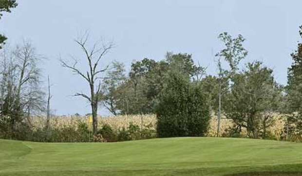 South Highland Sports Club - photo 2