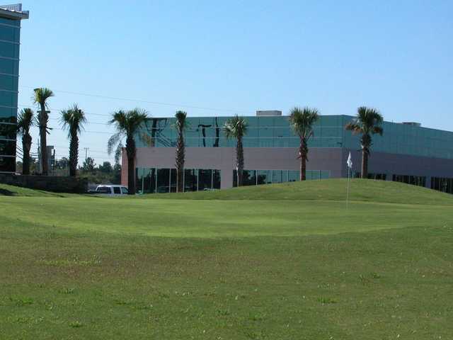 Heron Lakes - photo 2