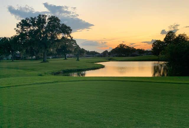 Wedgefield Golf Club - photo 3