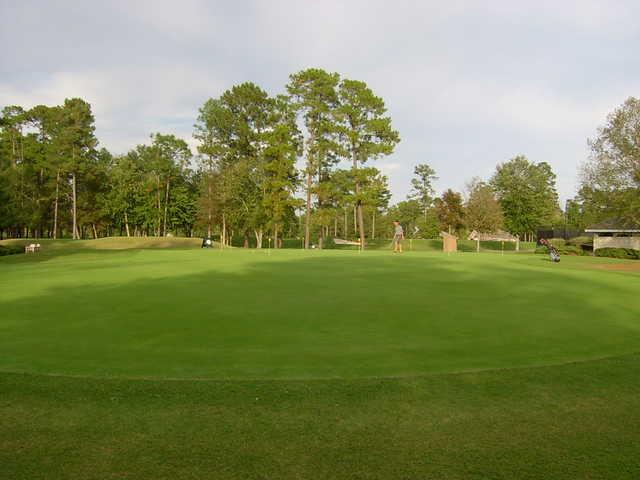 The Emerald Golf Club - photo 2