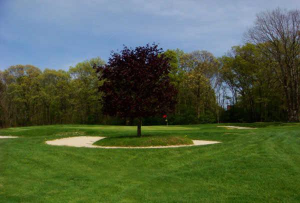 Heatherwood Golf Club - photo 3