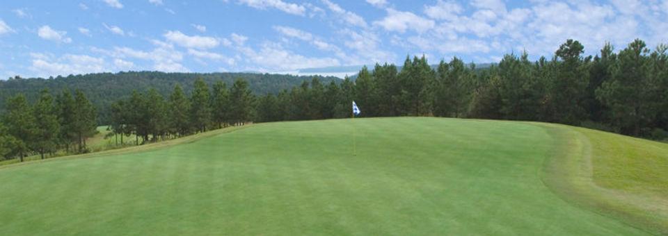 Tannenbaum Golf Club - photo 3