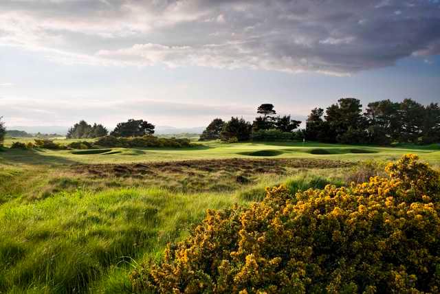 Irvine Golf Club