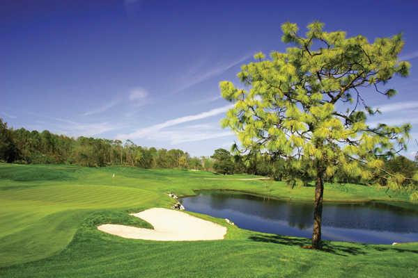 Orange Lake Resort - Legends Course - photo 6