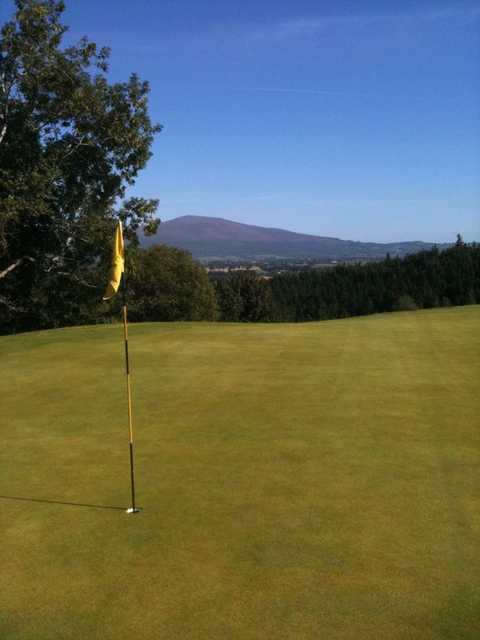 Clonmel Golf Course - photo 3