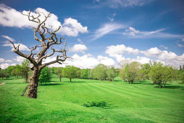 Enfield Golf Club - photo 3