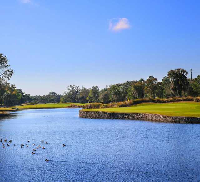 Belleair Country Club - photo 6