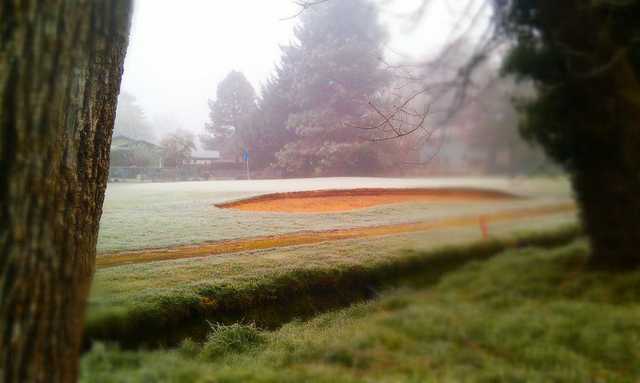 Meadowlawn Golf Course - photo 3