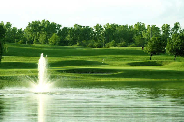 Taylor Meadows - photo 5