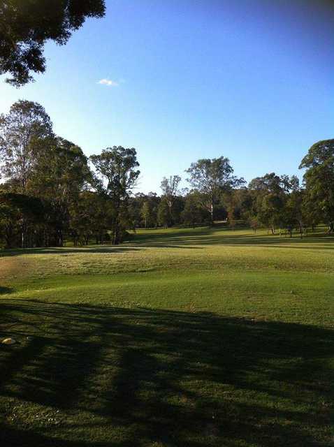 Nambour Golf Club - photo 3