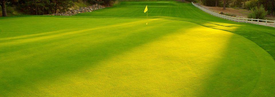 The Old Back Nine At Mountain High - photo 5