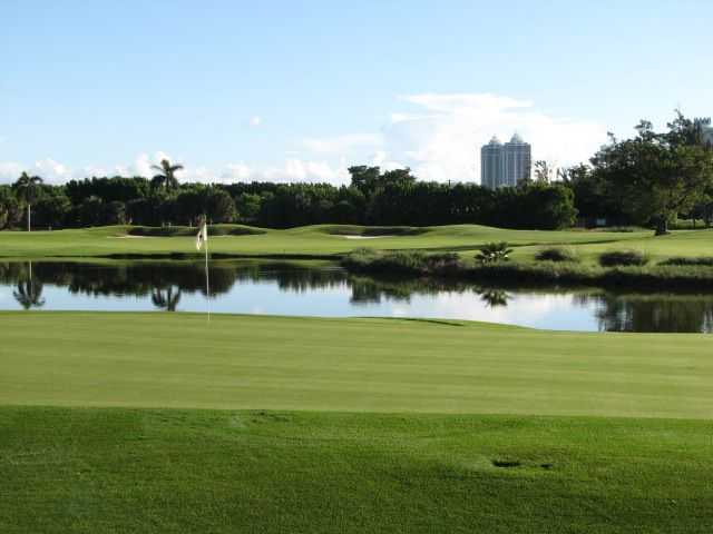 Miami Beach Golf Club - photo 3