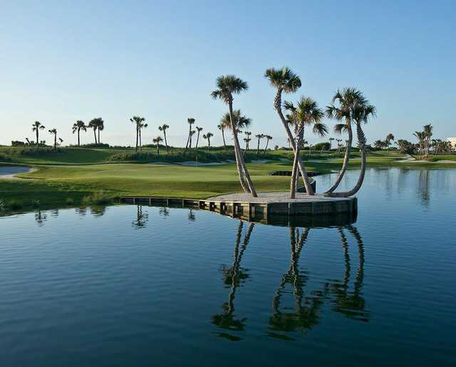 Palm Beach Par 3 Golf Course - photo 4