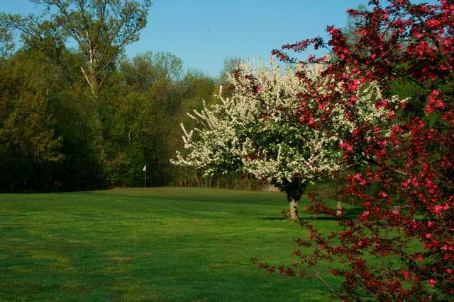 Howell Park Golf Course - photo 2