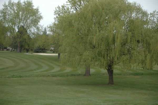 Idyl Wyld Golf Course - photo 3